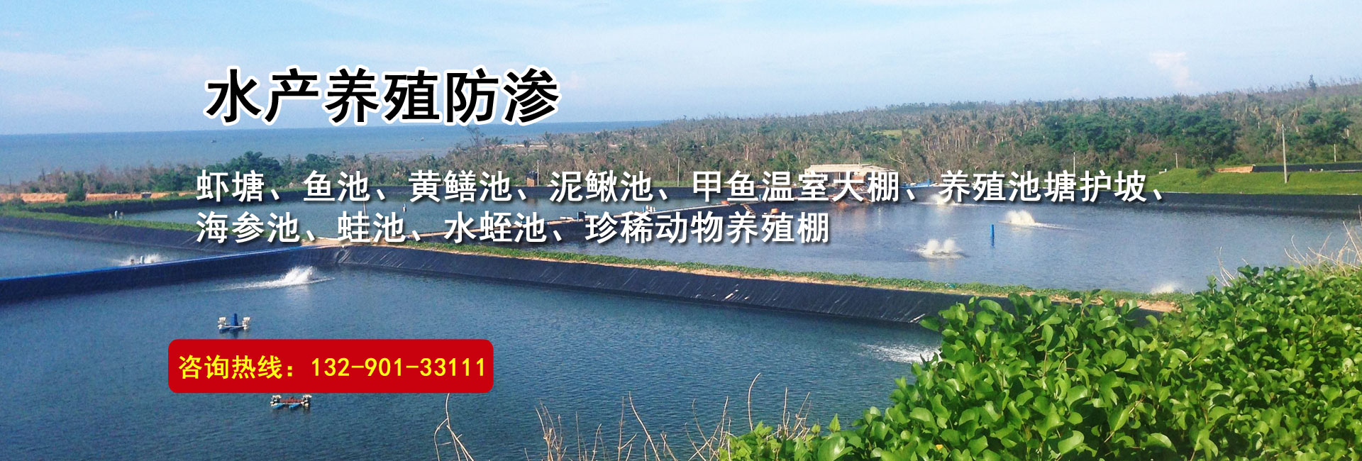 集團動態(tài)